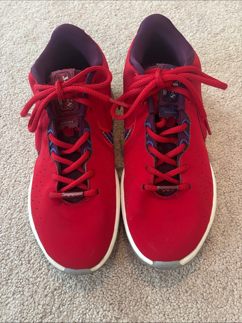 Nike LeBron AirZoom sneakers in size Youth 6.5